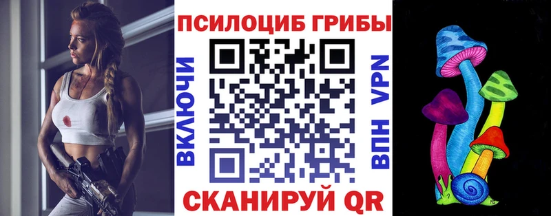 Псилоцибиновые грибы Psilocybine cubensis  Купить где  Воркута 