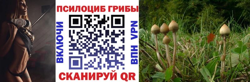 Псилоцибиновые грибы прущие грибы Воркута